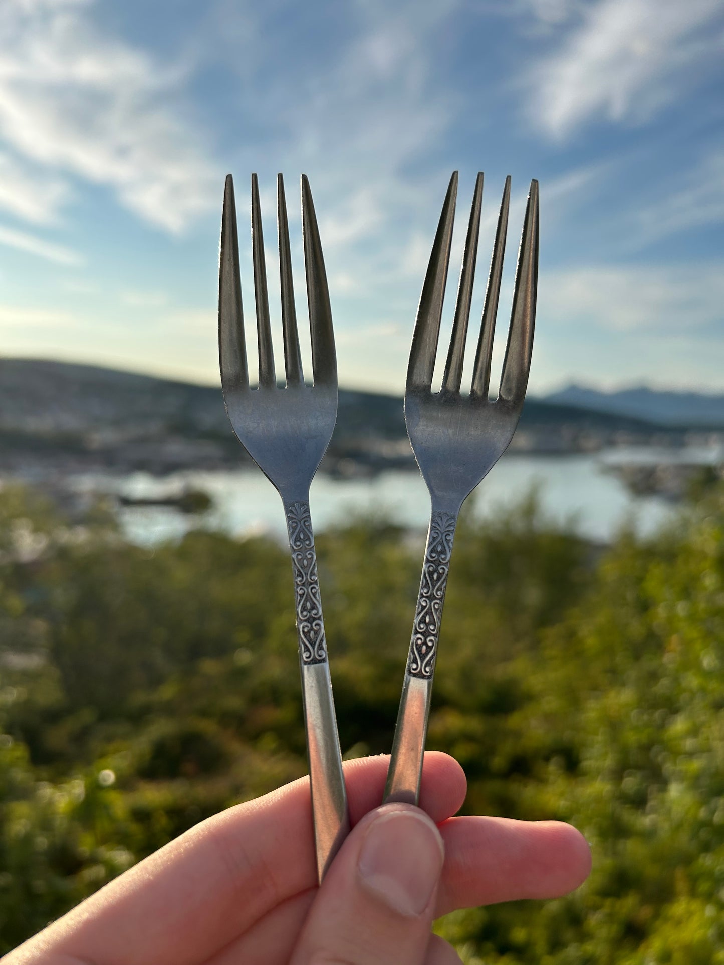 Send inn ditt bestikk! Ring og skjerfring!